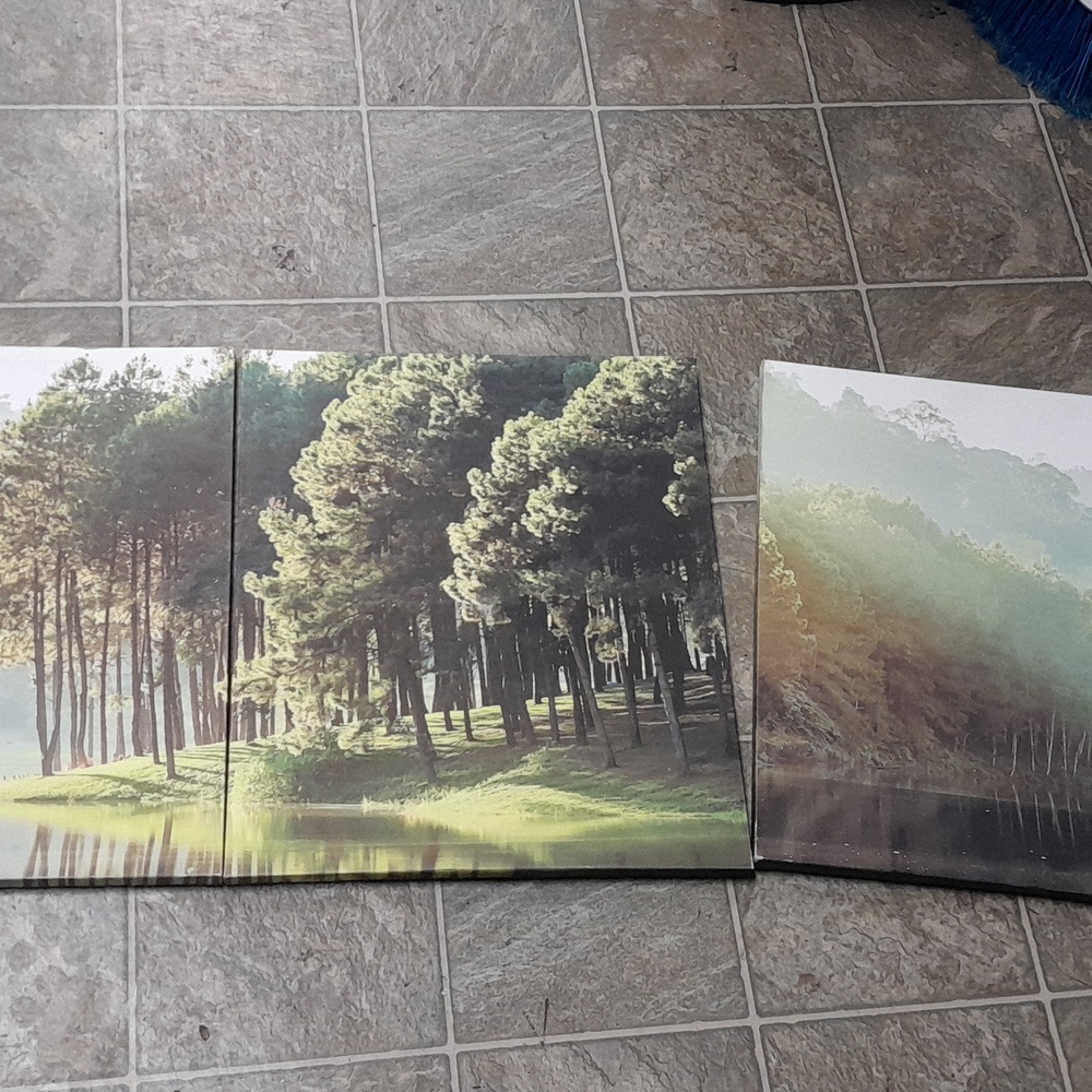Printed landscape wal decor picture set